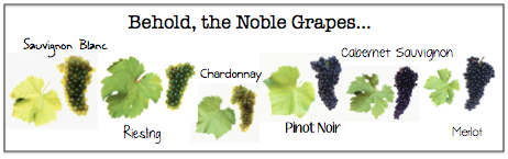 - noble-grapes